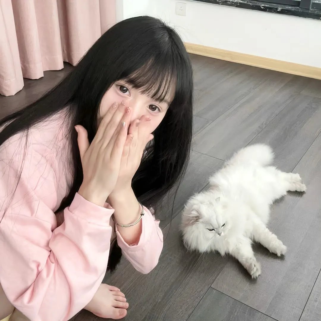 美女来了